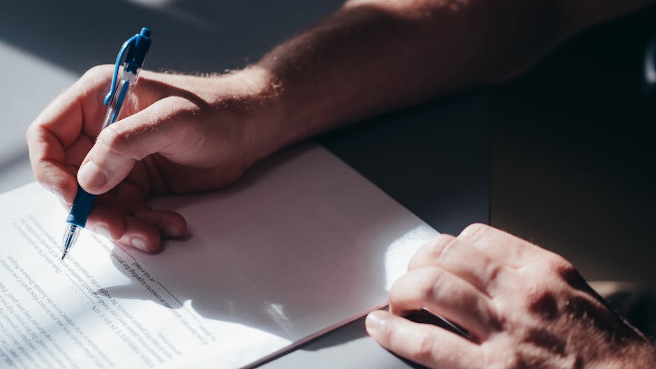 Professional business documentation and editing services